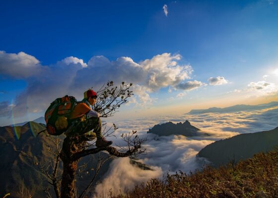 Bạch Mộc Lương Tử